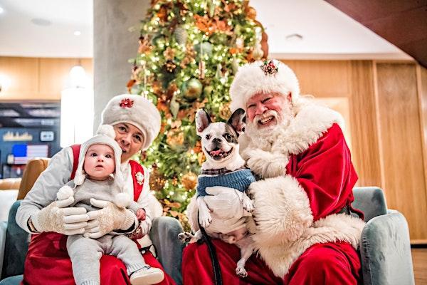 Santa and pets